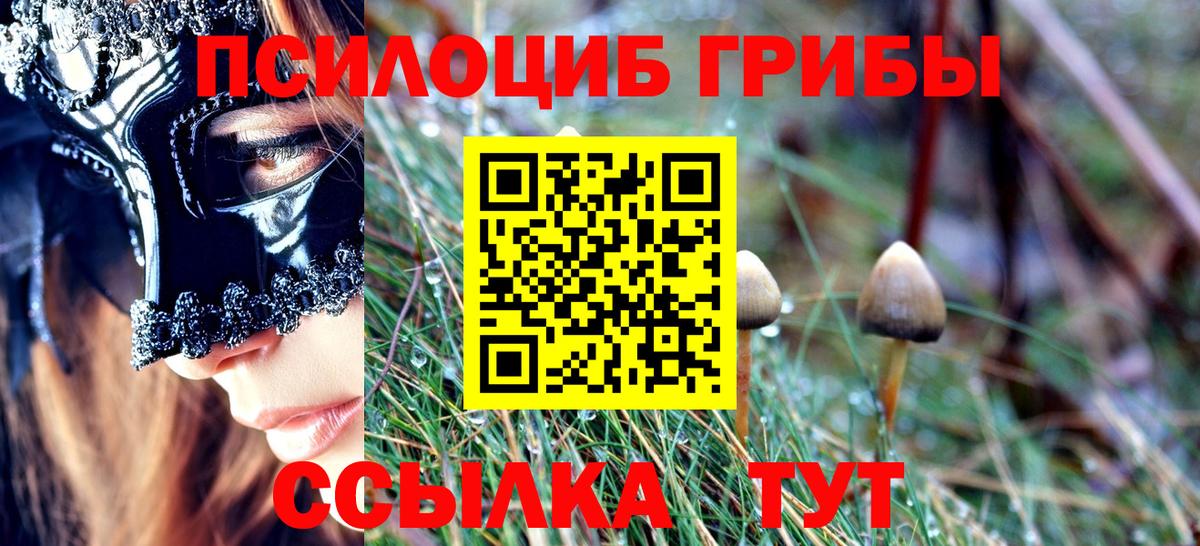 Галлюциногенные грибы Psilocybe Пенза