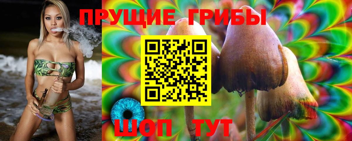 Пенза  Псилоцибиновые грибы Magic Shrooms  Вход с VPN 